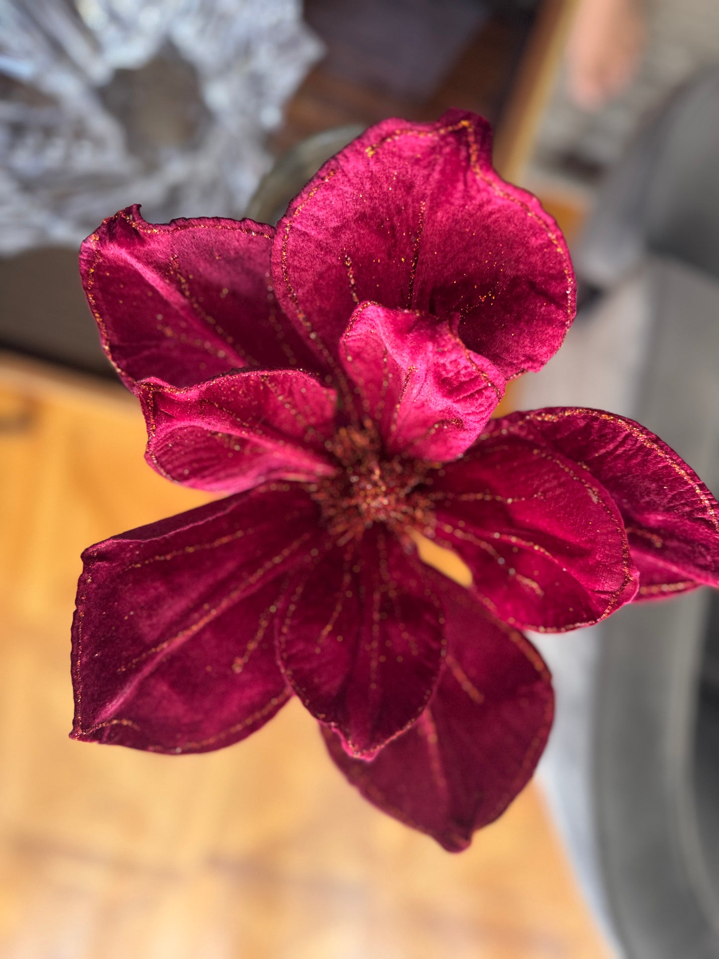 Burgundy Velvet Petal Bloom