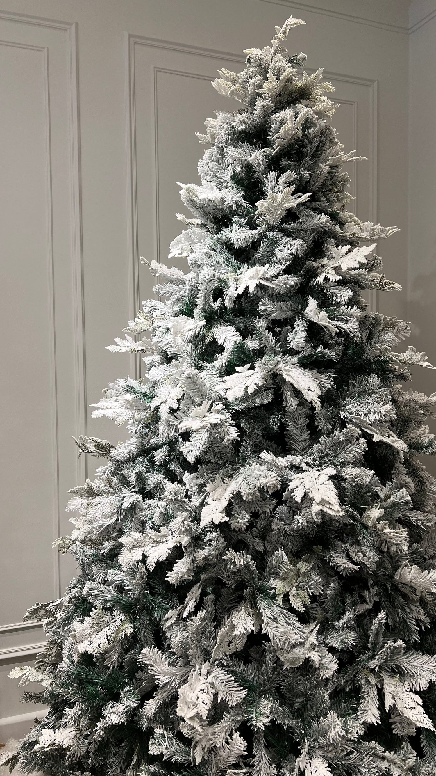 Christmas Trees