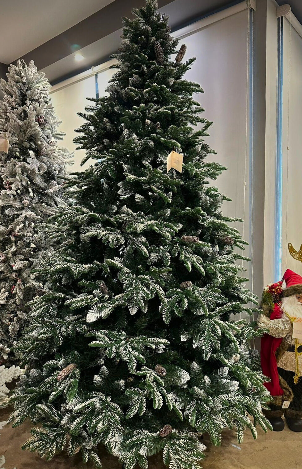 Alpine Frost Pine Tree
