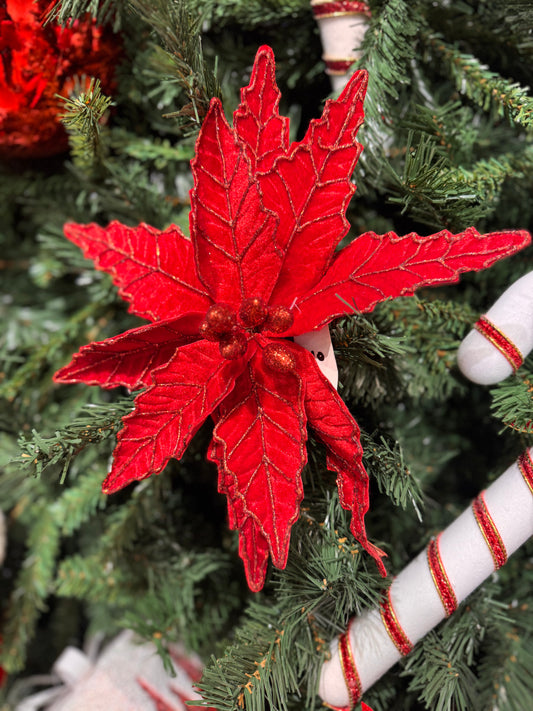 Red Velvet Poinsettia