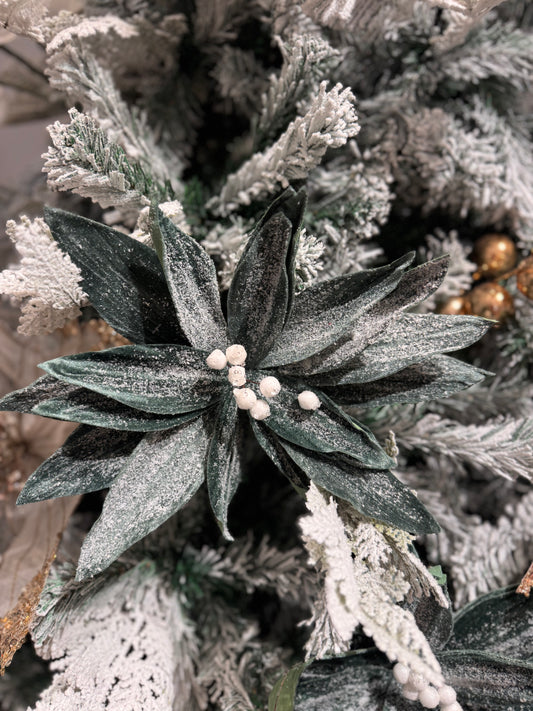 Frosted Green Poinsettia