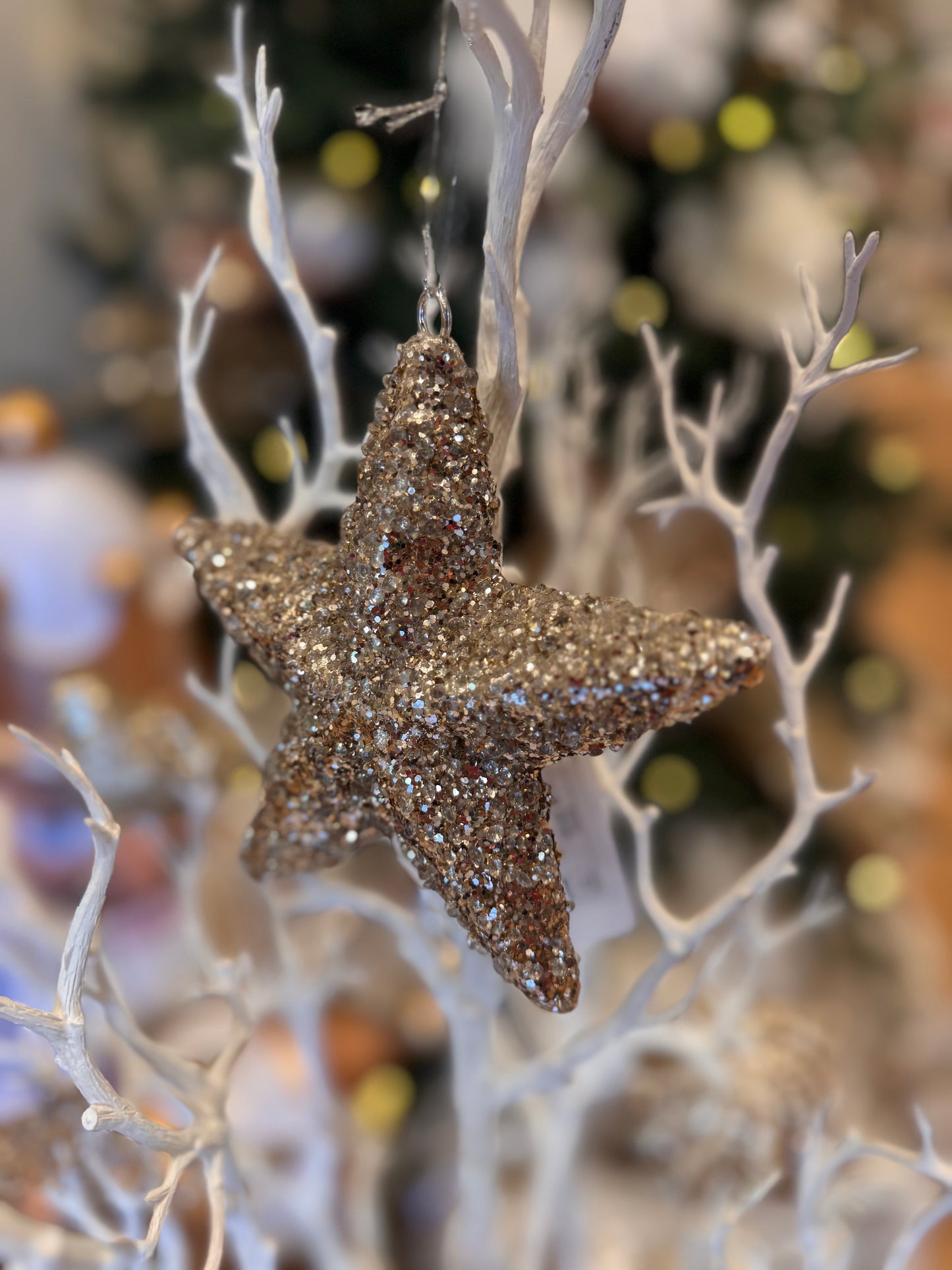 Glittery Star Ornament