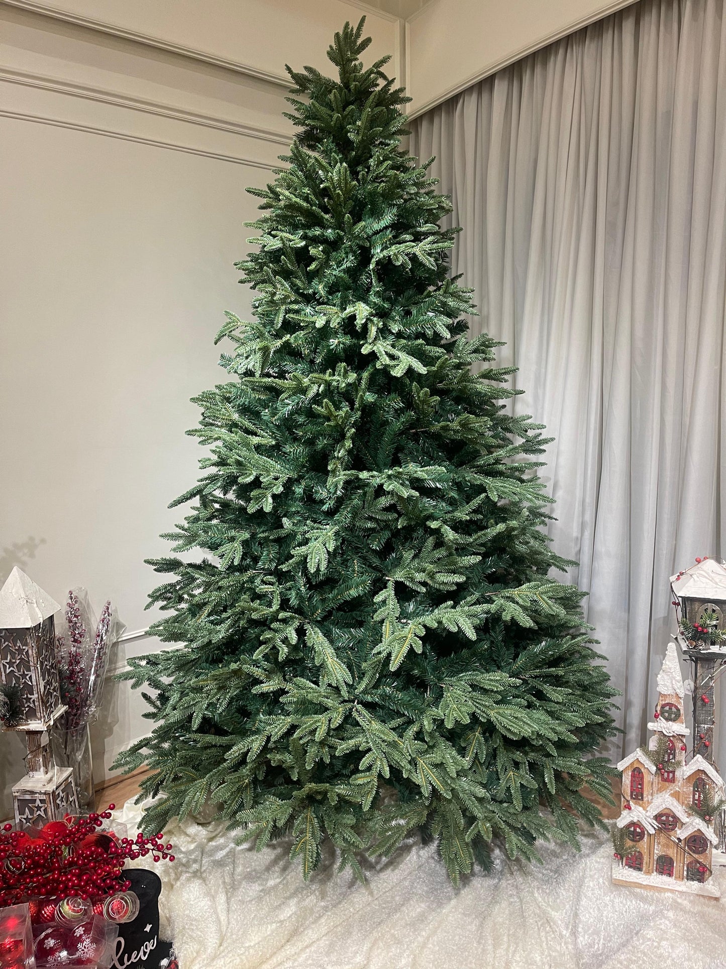 Lebanese Fir