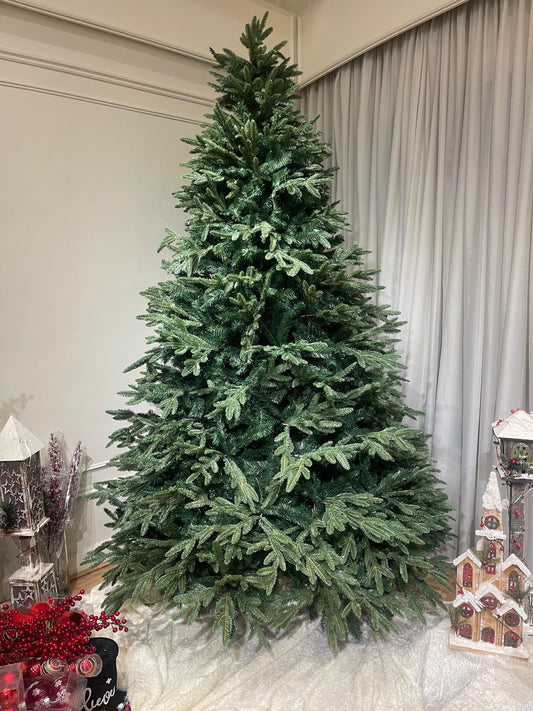 Lebanese Fir