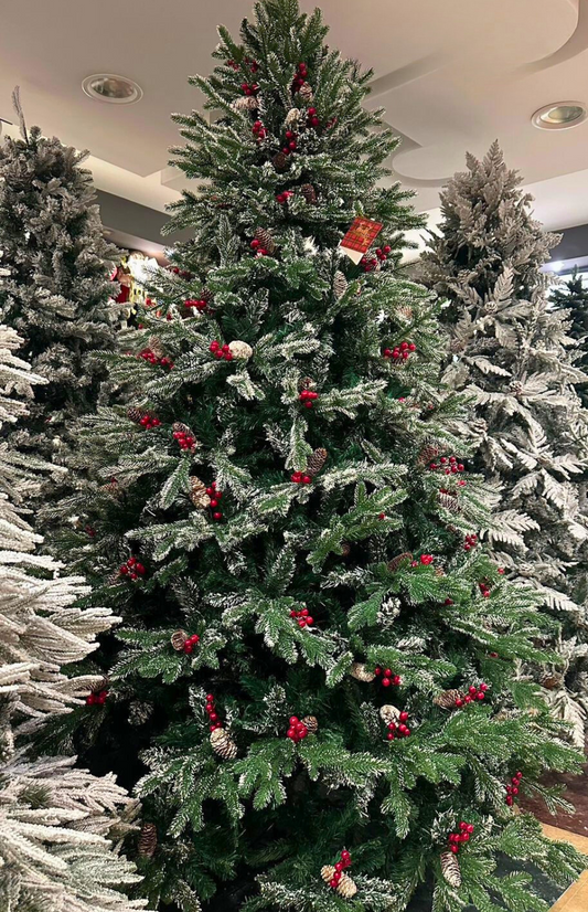 Frosted Holly Pine Tree