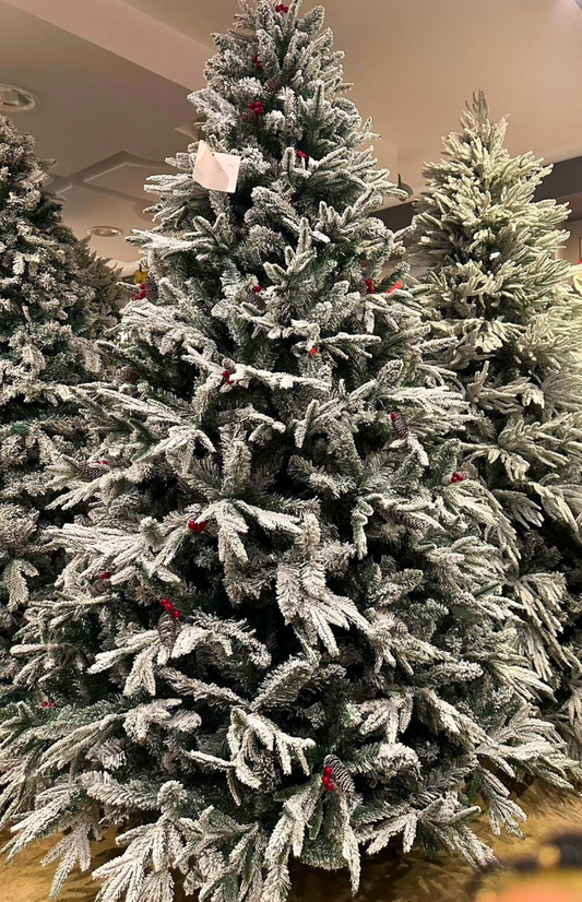 Snowberry Pine Tree