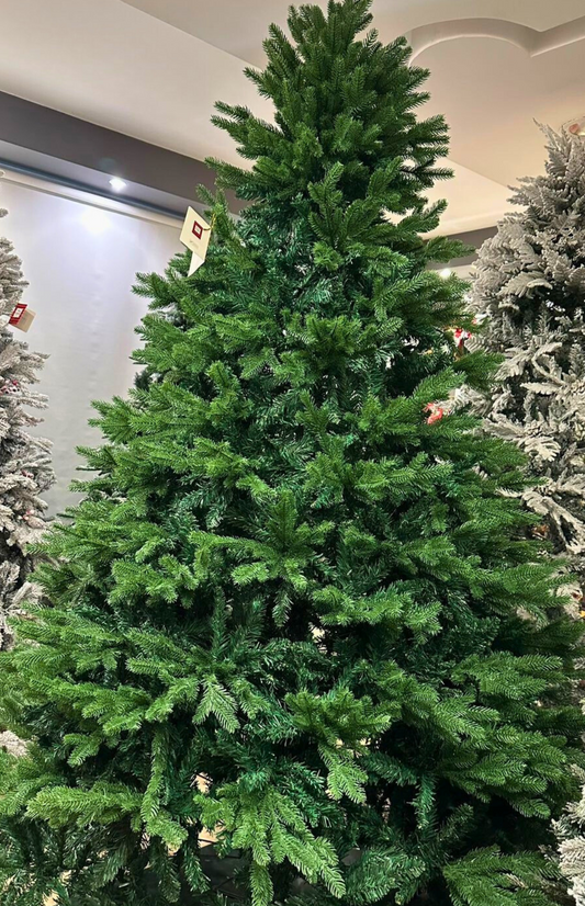 Grand Alpine Evergreen