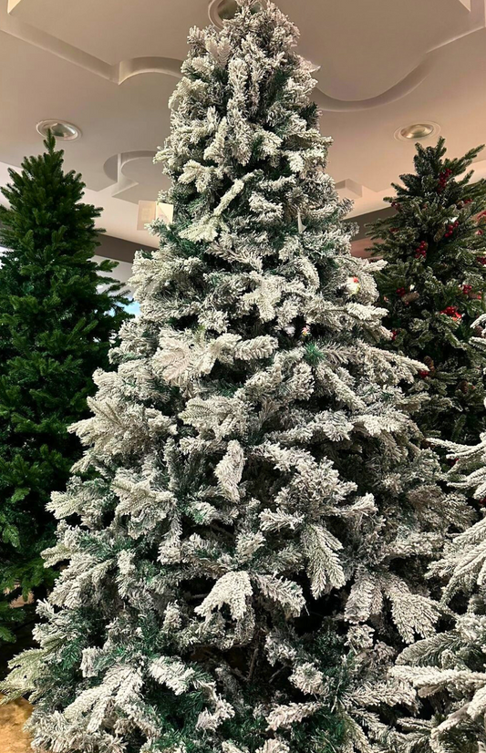 Winter Wonderland Fir