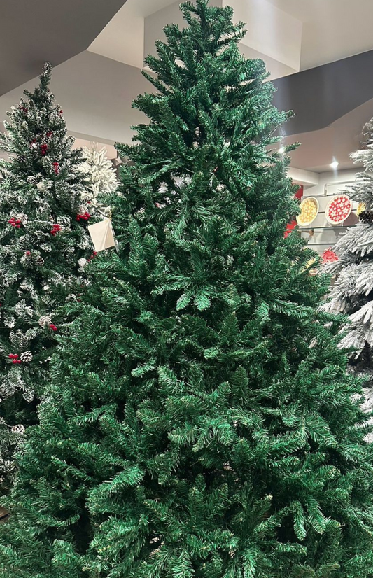 Classic Evergreen Tree